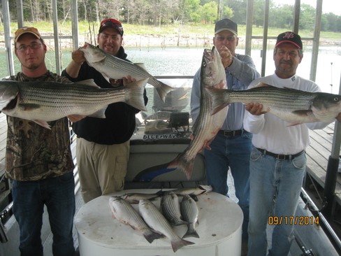 Nice Striped Bass